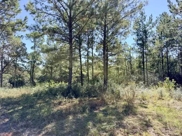 NHN Gray Fox Road, Carriere, MS 39426