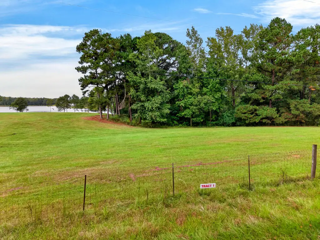 Parcel 1 El Shaddai Rd, Poplarville, MS 39470 - #1