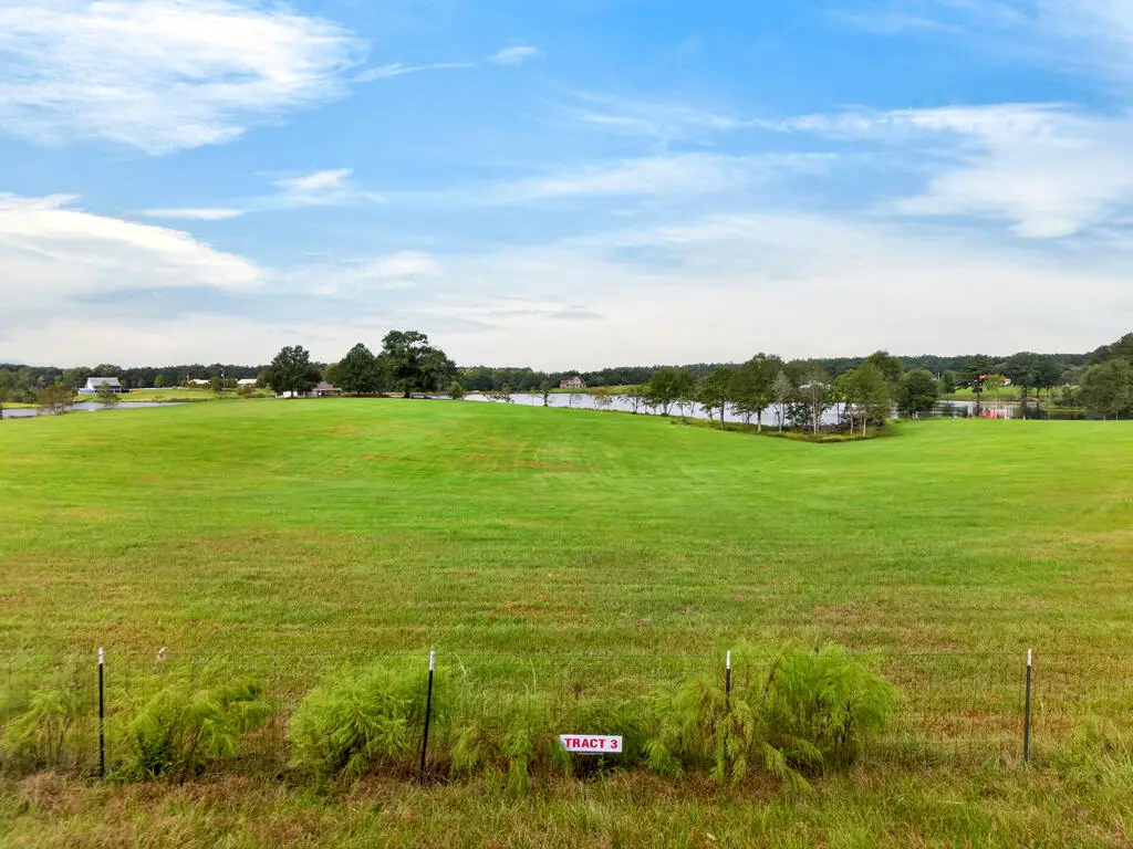 Parcel 3 El Shaddai Rd, Poplarville, MS 39470 - #1