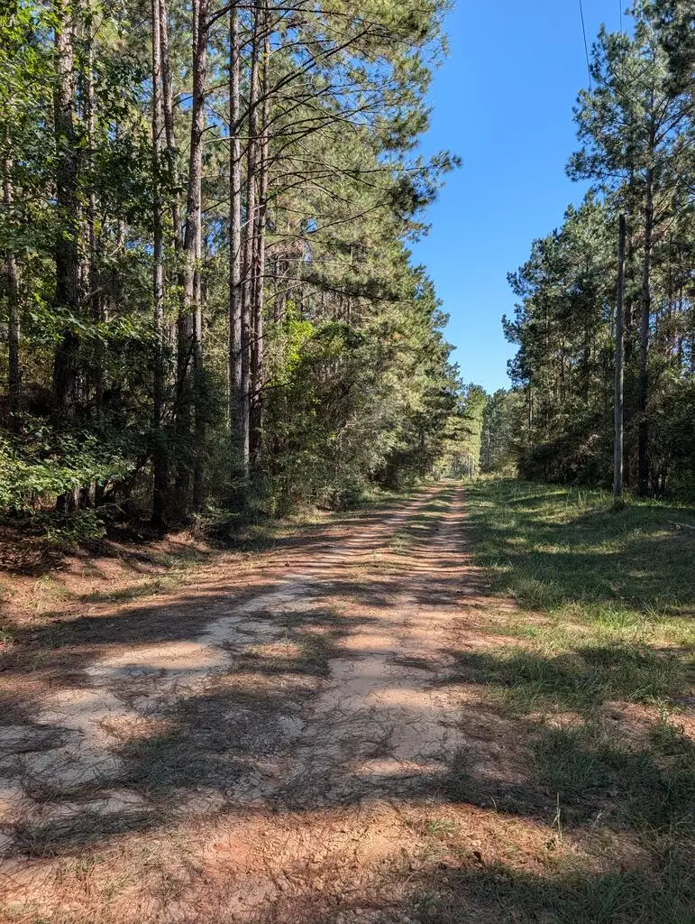 NHN Three Ponds Road, Poplarville, MS 39470 - #1