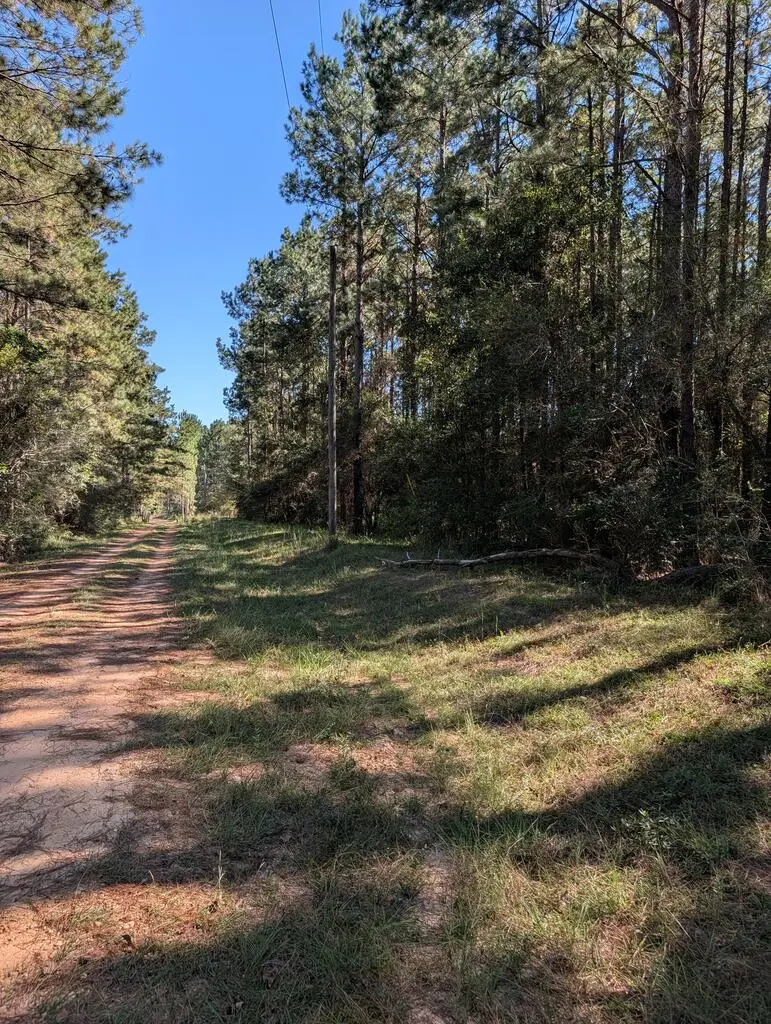 NHN Three Ponds Road, Poplarville, MS 39470 - #2