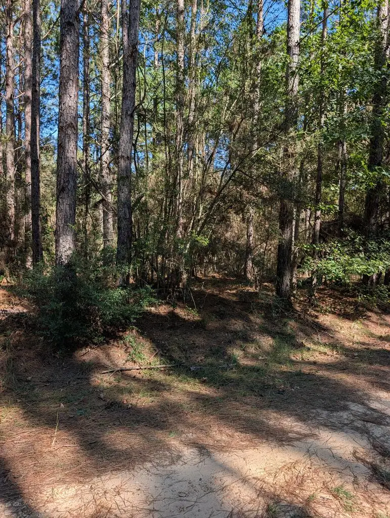 NHN Three Ponds Road, Poplarville, MS 39470 - #3