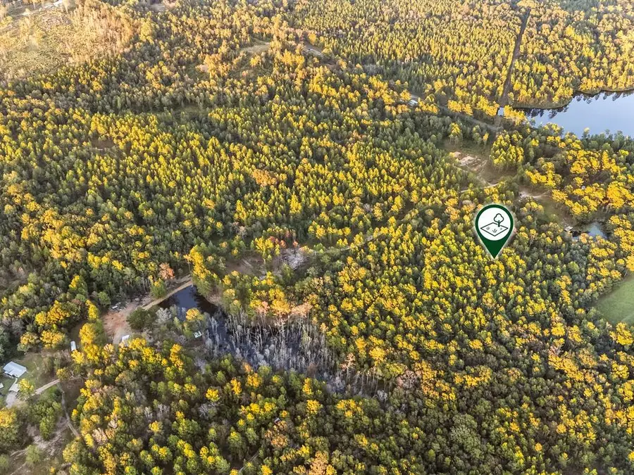 0 Flowers Ln LOT 4, Poplarville, MS 39470 - #2
