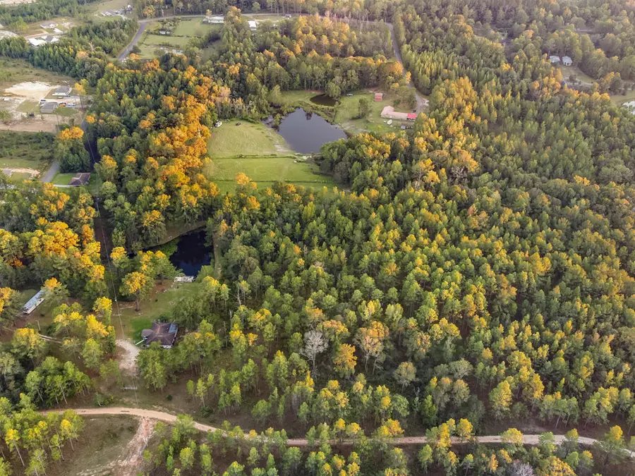 0 Flowers Ln LOT 4, Poplarville, MS 39470 - #3