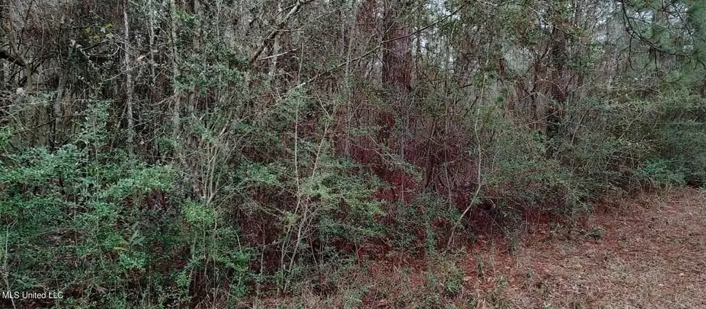NHN Laura St, Lumberton, MS 39455 - #1