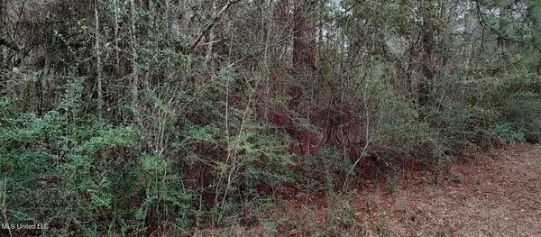 NHN Laura St, Lumberton, MS 39455