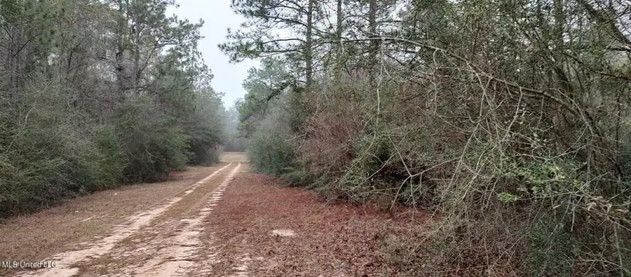 NHN Laura St, Lumberton, MS 39455 - #2