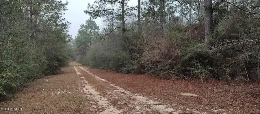 NHN Laura St, Lumberton, MS 39455 - #3