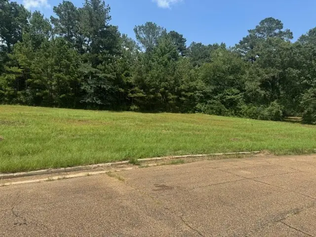 Lot 5 Business Center Drive, McComb, MS 39648 - Image #3