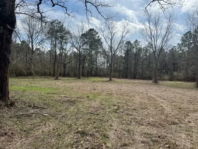 46390 La Hwy 10, Franklinton, LA 70438 - Image #3