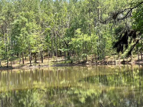 Na Reservoir Road, , MS 39367