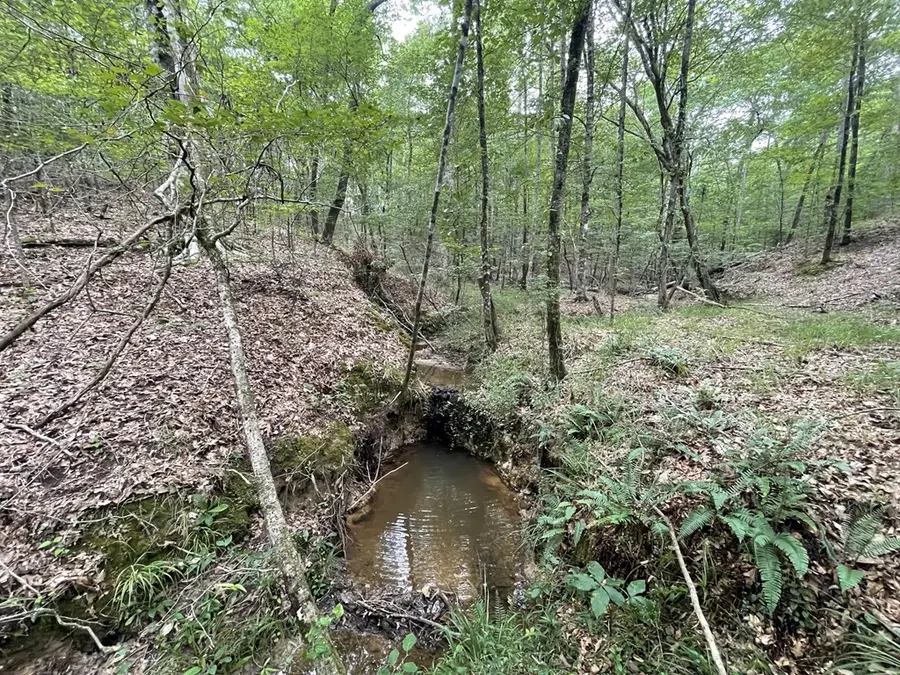 0 Antioch Road, Hazlehurst, MS 39083 - #3