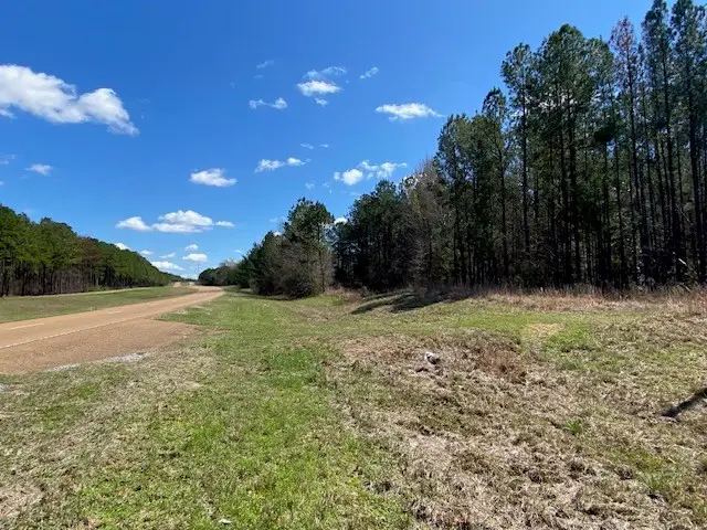 0 Highway 84, Roxie, MS 39661 - Image #2