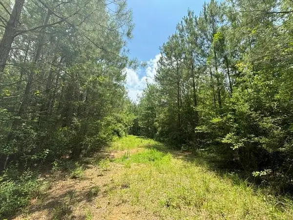 000 E Lewiston Road, , LA 70444