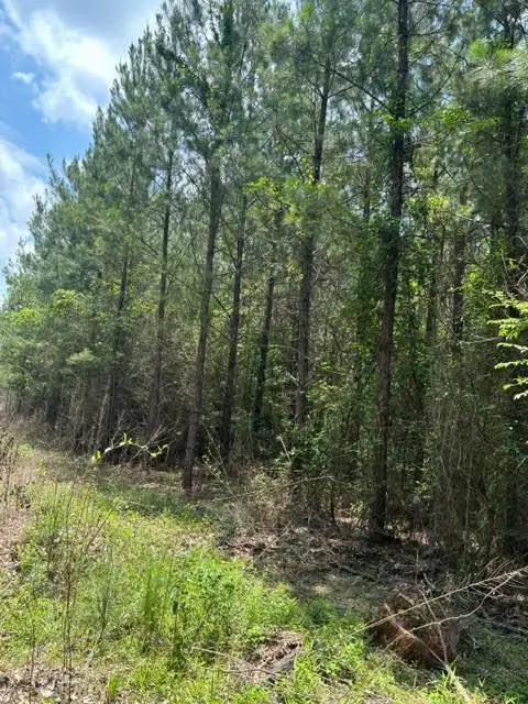 000 E Lewiston, Kentwood, LA 70444 - #1