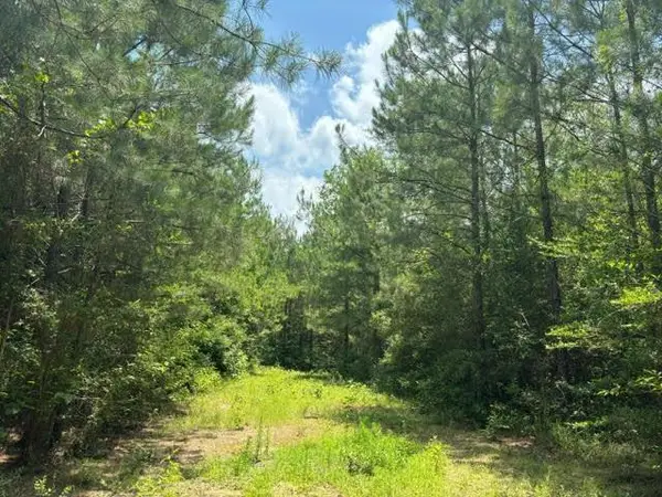 000 E Lewiston Road, , LA 70444