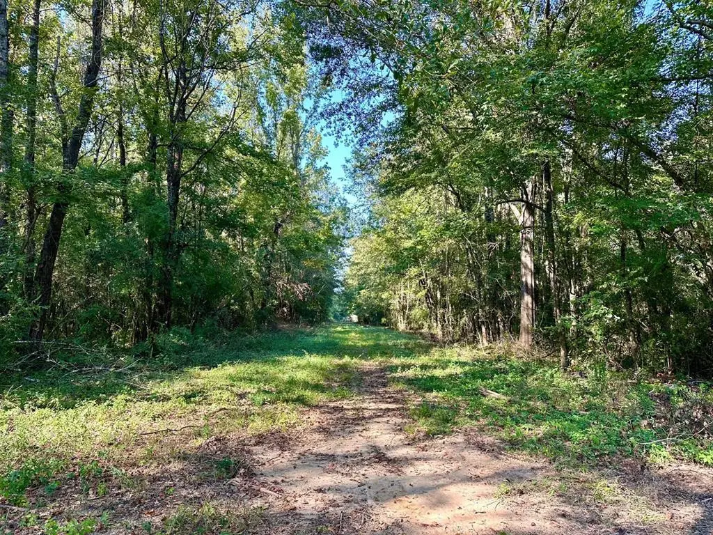 Tbd Williams Street, Brookhaven, MS 39601 - Image #1
