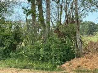 TBD Daughdrill, Bogue Chitto, MS 39629 - Image #2