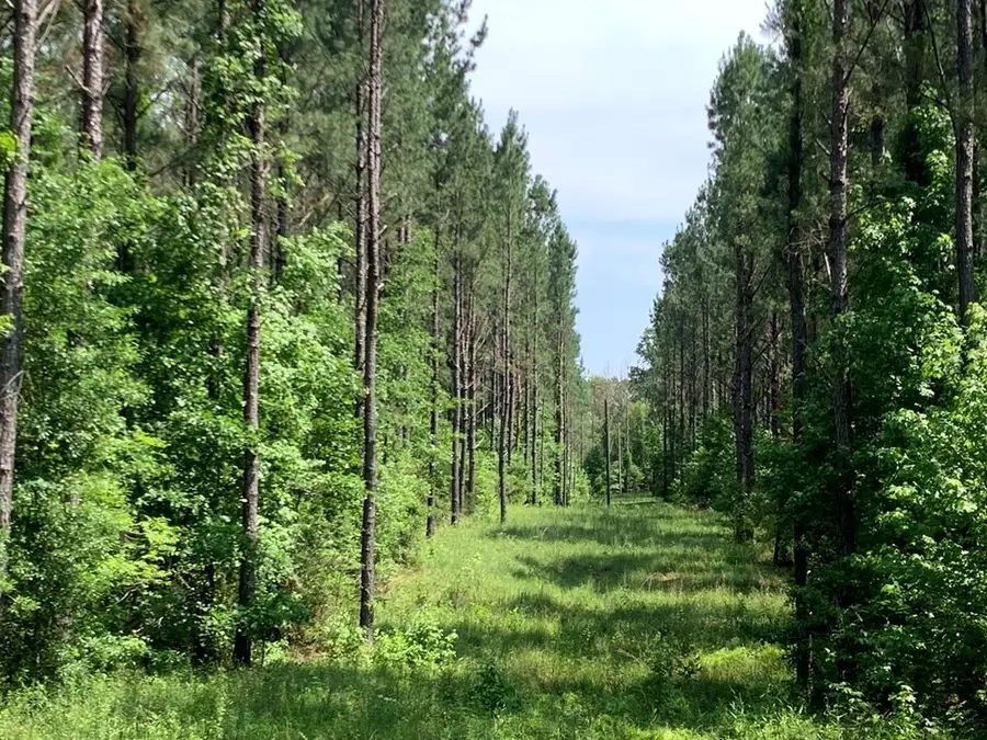 . Athens Trail Ne/ Timberlane Rd Ne, Wesson, MS 39191 - Image #2