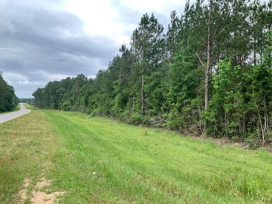 . Fergson Rd/barber Rd/crooked Creek Road, Silver Creek, MS 39663 - Image #2