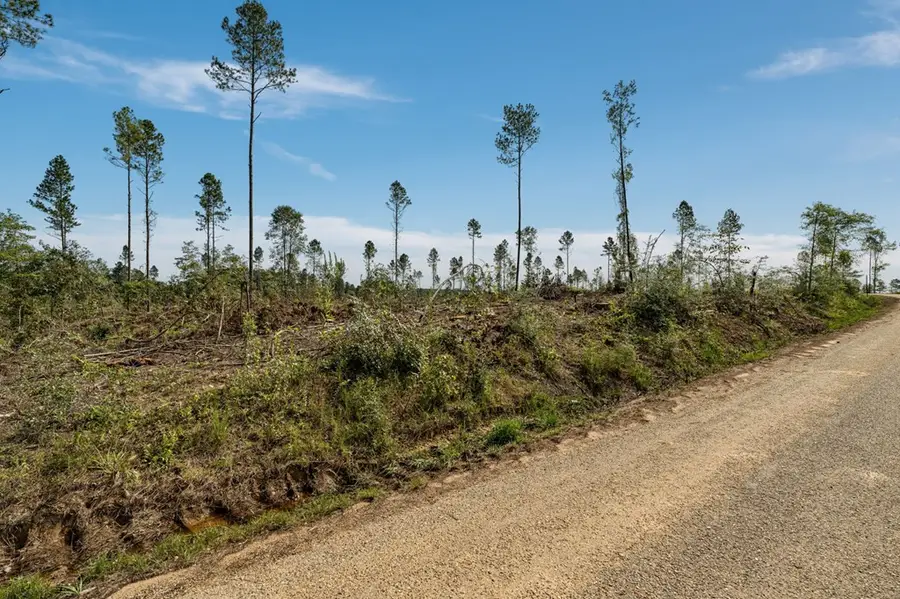 02 Lucas Hollow Road, Mount Olive, MS 39119 - #3