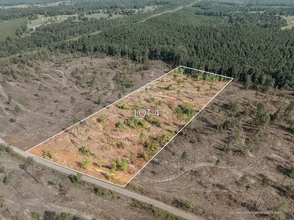 04 Lucas Hollow Road, Mount Olive, MS 39119