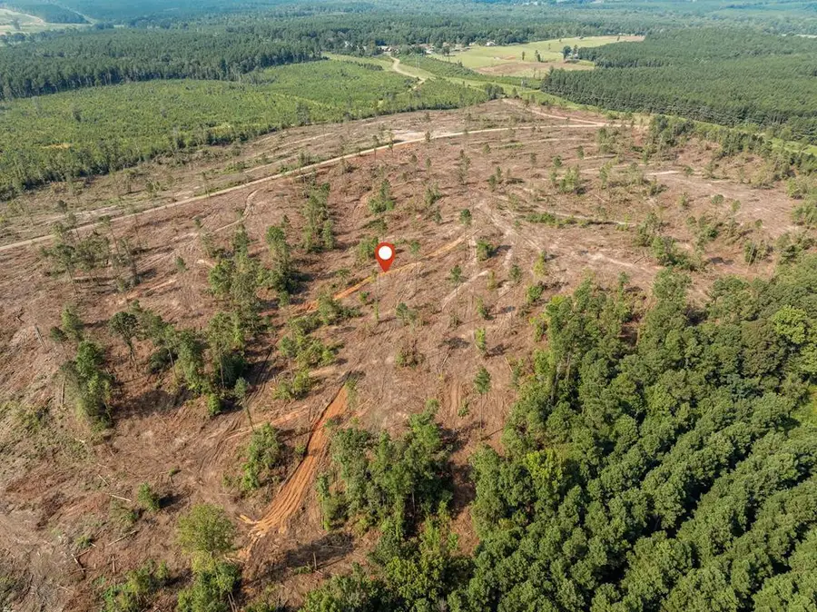 05 Lucas Hollow Road, Mount Olive, MS 39119 - Image #2