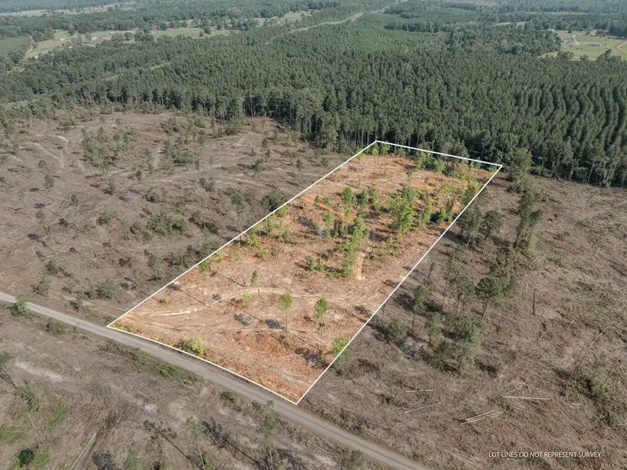 05 Lucas Hollow Road, Mount Olive, MS 39119 - Image #3