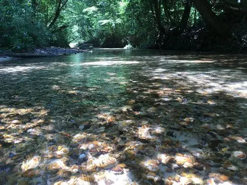 . Givens Mullins Road, Monticello, MS 39654 - #1