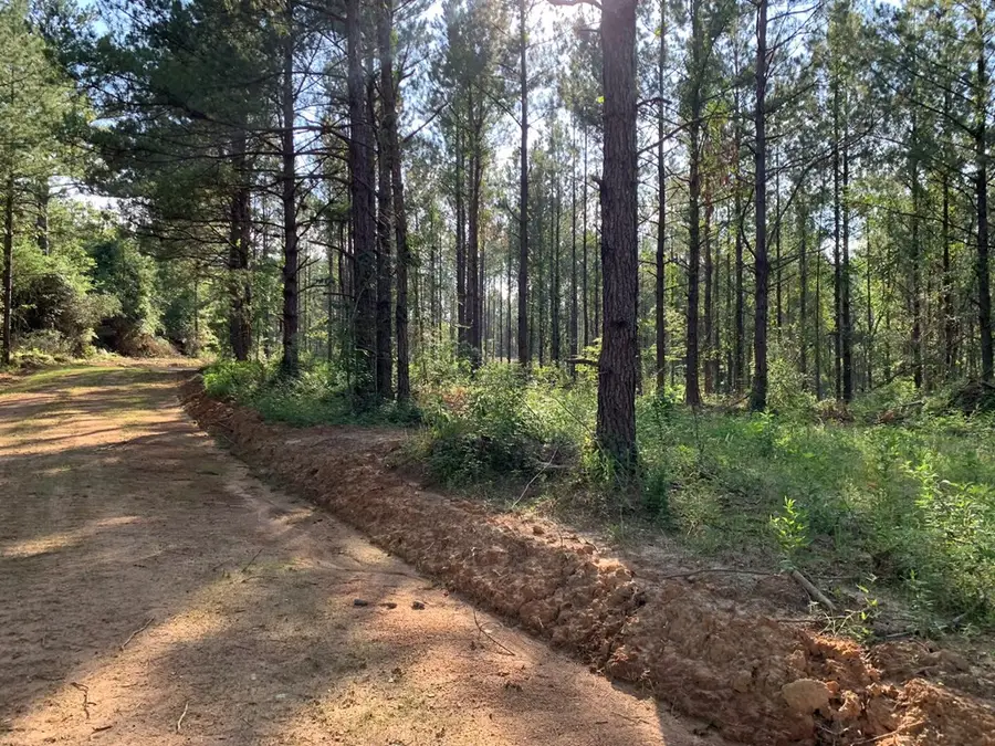 . Givens Mullins Road, Monticello, MS 39654 - #2