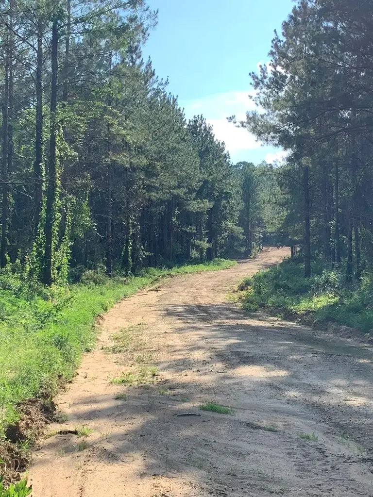 . Givens Mullins Road, Monticello, MS 39654 - #3