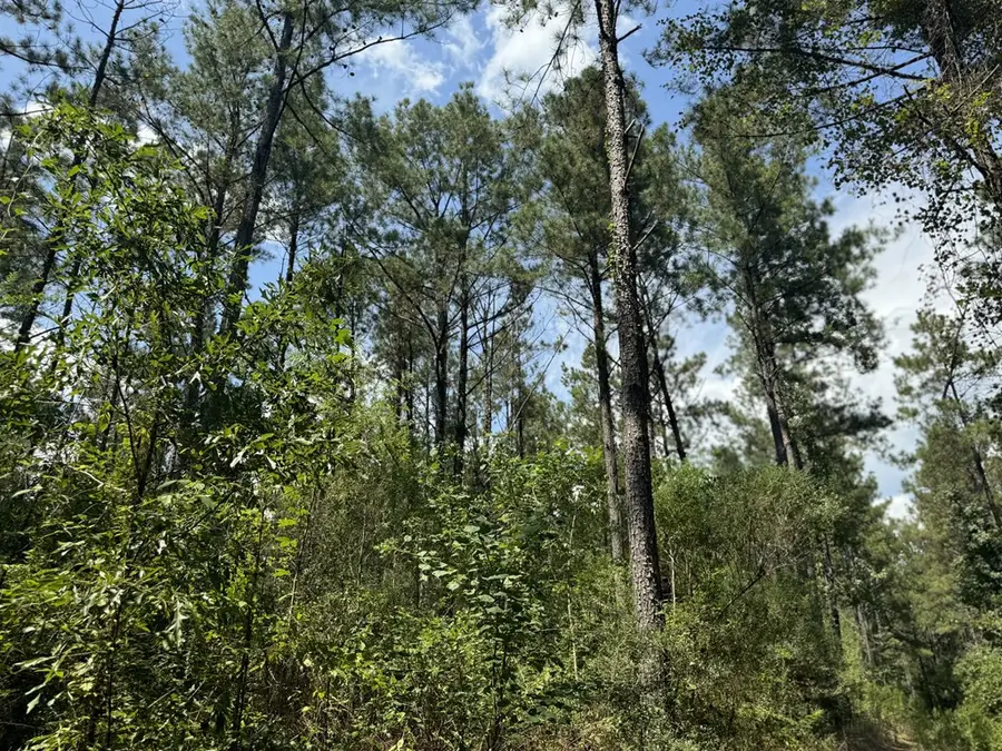 0 Graves Road, Liberty, MS 39645 - Image #2