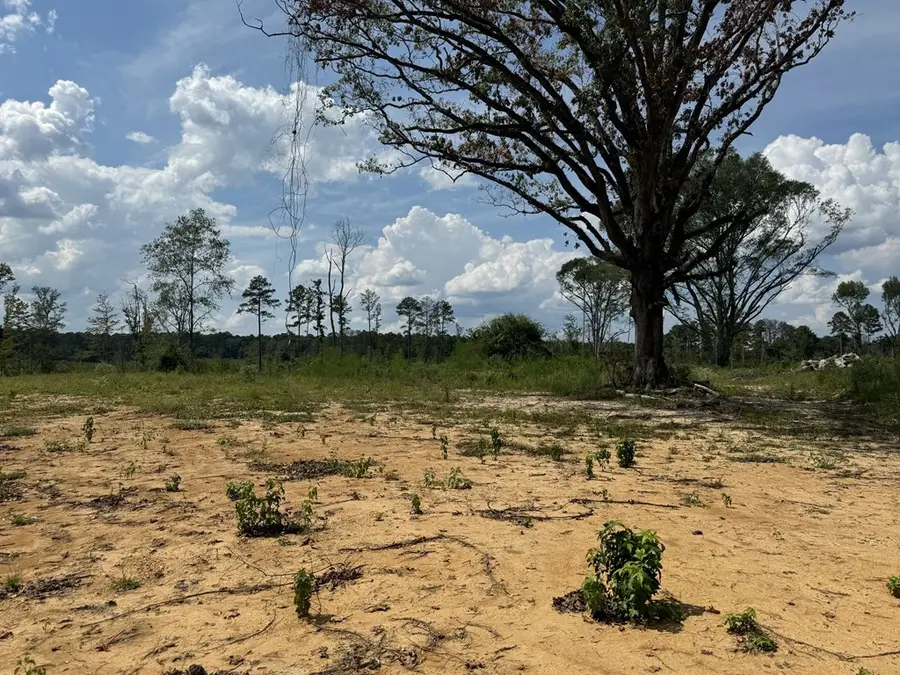 0 Busy Corner Road, Gloster, MS 39638 - #2