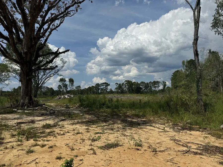 0 Busy Corner Road, Gloster, MS 39638 - #3