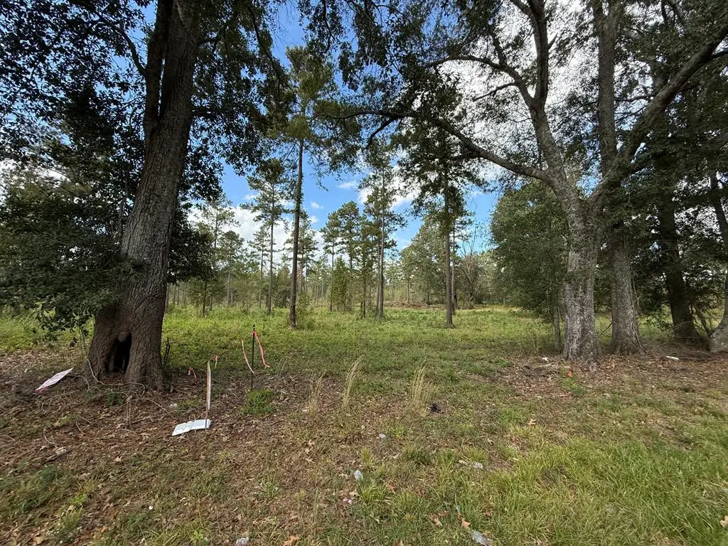 LOT # 5 Old Hwy 33, Centreville, MS 39631 - Image #1