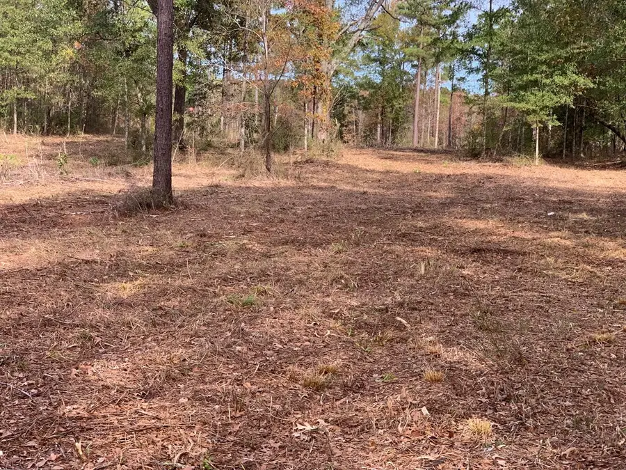 LOT # 5 Old Hwy 33, Centreville, MS 39631 - Image #3