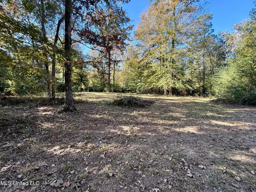Paige Drive, McComb, MS 39648 - Image #2