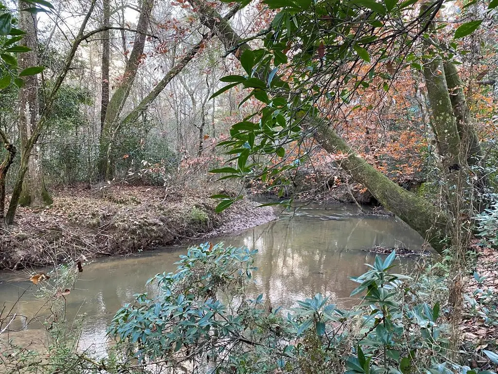 TBD Ms-568, Osyka, MS 39657 - Image #1