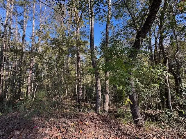 1213 Liberty, Natchez, MS 39120 - Image #3