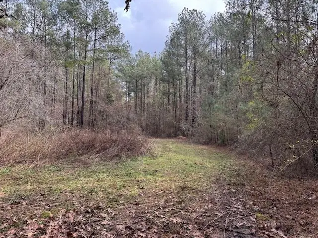 920a Auburn Drive, Bogue Chitto, MS 39629 - Image #2