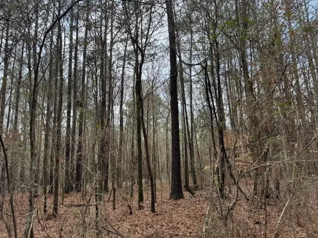 920a Auburn Drive, Bogue Chitto, MS 39629 - Image #3