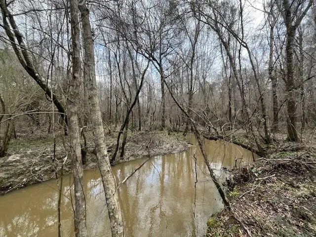 920b Auburn Drive, Bogue Chitto, MS 39629 - Image #2