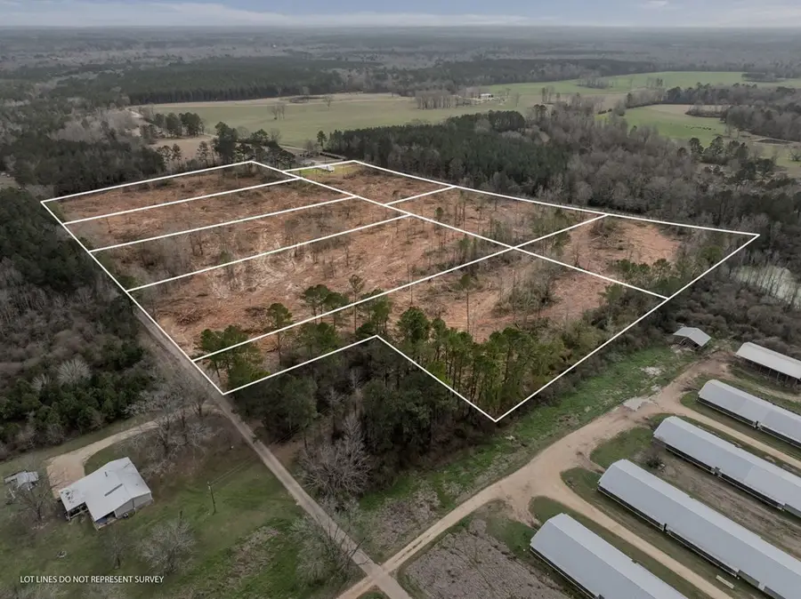 3 Fulgham Road, Tylertown, MS 39667 - #2