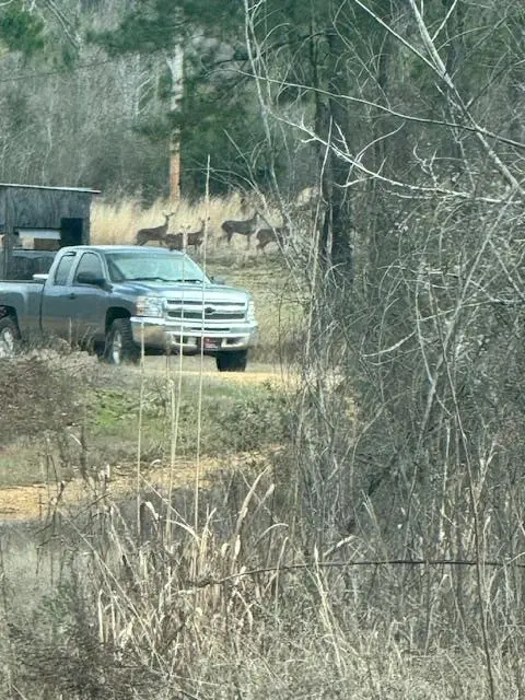 1111 Mount Olive Rd Se, Bogue Chitto, MS 39629 - Image #1