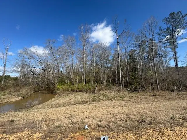 1111 Mount Olive Rd Se, Bogue Chitto, MS 39629 - Image #3