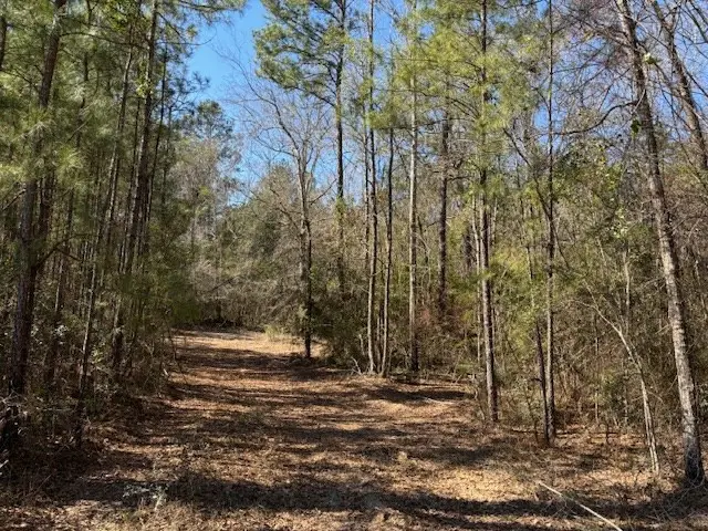 Lot #5 Jessie Stogner Road, Sandy Hook, MS 39667 - Image #2