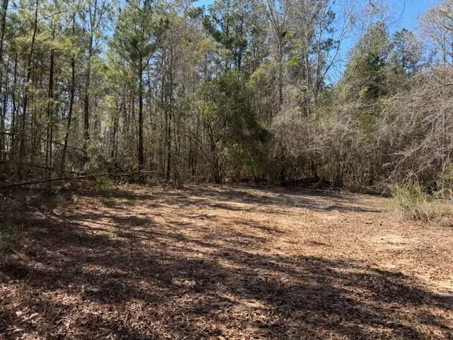 Lot #5 Jessie Stogner Road, Sandy Hook, MS 39667 - Image #3