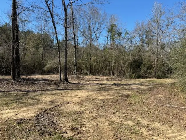 Lot #6 Jessie Stogner Road, Sandy Hook, MS 39667 - Image #2