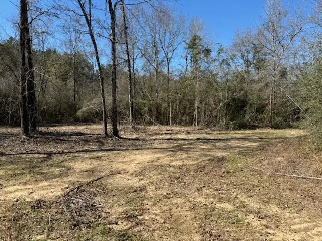 Lot #6 Jessie Stogner Road, Sandy Hook, MS 39667 - Image #3