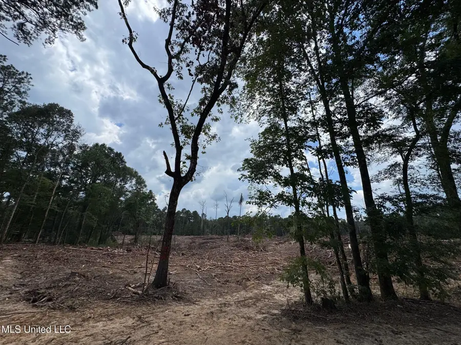 2 Hwy 24, Liberty, MS 39645 - #3